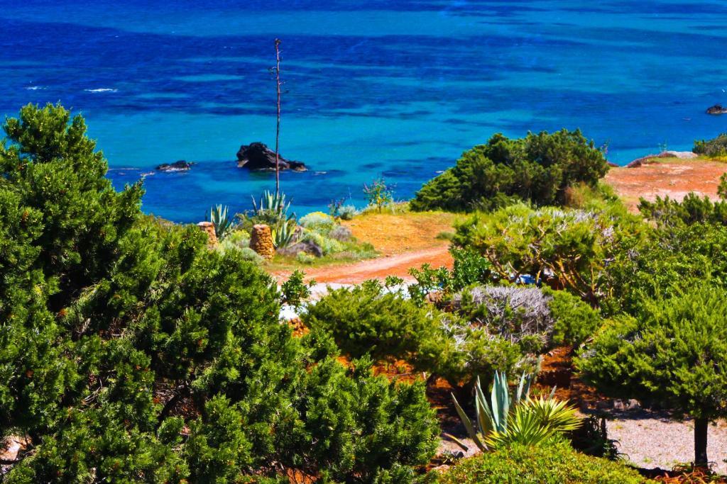 Apartament Arenal D'Or Playa DPlaya Des Figueral Pokój zdjęcie